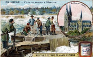 Salmon Fishing in Elfkarleby, Sweden. Chromolithography, Liebig Image by Unknown artist