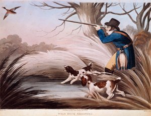 Scene of Duck Hunting in England