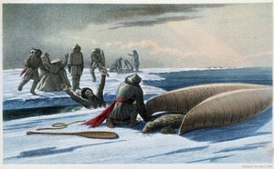 Seal Hunting: 