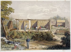 Settlers