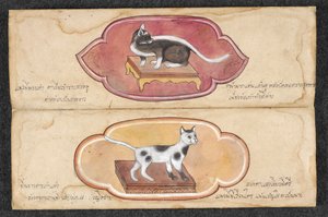 Siamese Cats by Unknown artist
