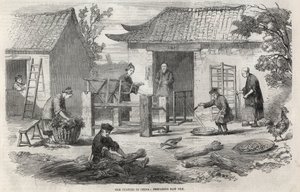 Silk production in China and the various stages of manufacturing. by Unknown artist