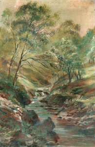 Stream through a Wood