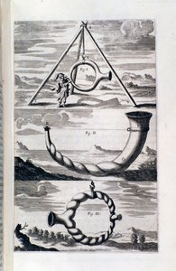 Study of phonology from Pronurghia nova by Unknown artist
