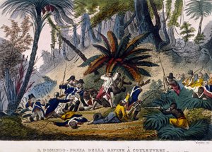 Taken de la Ravine at Reuvres on 23/02/1802. The Leclerc Expedition, Which Encircles the Troops of Francois Dominique Toussaint, Known as 