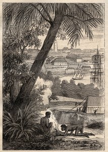 The Expedition to the Southern Lands by Nicolas Baudin: View of Sydney by Unknown artist