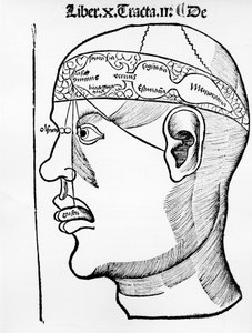 The Brain - in "The Body", Book X by Unknown artist