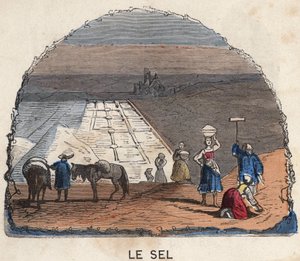 The Collection of Salt. 19th century illustration. Bianchetti Collection by Unknown artist