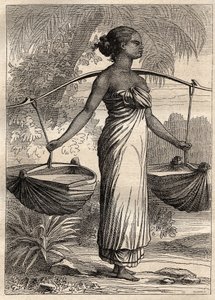 The expedition around the world (1790-1792) by Captain Etienne Marchand: water carrier in Timor (East Timor, Indonesia) - illustration taken from The Great Mariners of the 18th century by Unknown artist