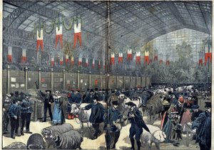 The general agricultural competition of Paris by Unknown artist