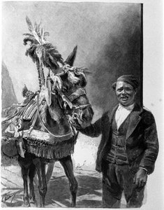 The harness of the donkey from the Sicilian tanks during traditional celebrations. Engraving of the 19th century by Unknown artist