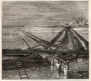 The salt marsh of Giraud in the Camargue, view taken from the service canal - engraving in 