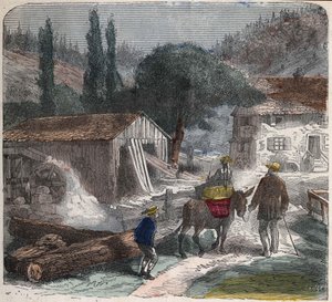 The Sawmill. 19th century illustration. Bianchetti Collection by Unknown artist