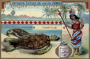 Turtle, with a Woman Dressed Like a Native of South America, Equipped with a Hunting Spear - Liebig Chromolithography
