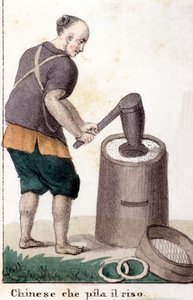 A Chinese Man Pillaging Rice - in Il Costume Universale di Tutti i Popoli del Mondo (The Universal Costume of All the Peoples of the World)