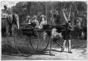 Walk on the back of an elephant and children in a cariola dragged by Austrias. Garden of Acclimation of the Bois de Boulogne in Paris