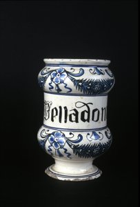 XVI century pharmacy pot containing Belladonna, toxic herb used in pharmacy. Museum of Science and Technology, Milan.