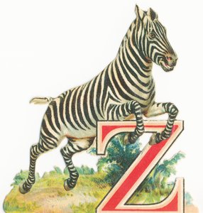 Zebra by Unknown artist