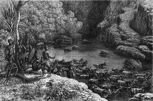 Zululand in Africa: because the forest does not offer the necessary resources, the Zulu tribe is obliged to go down to the plains where they cultivate and raise cattle. Engraving in La Nature by Unknown artist