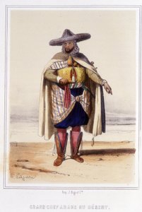 Great Arab chief of the desert during the second half of the 19th century