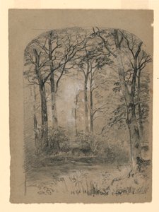 Woodland Study by Unknown artistUnknown artist