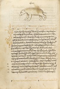 A Bear by Unknown artist