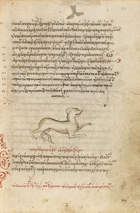 A Dog by Unknown artist