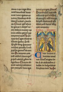 A Dove and a Falcon by Unknown artist