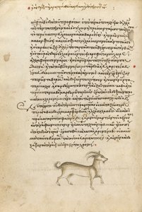 A Goat by Unknown artist