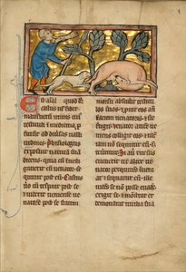 A Hunter and a Beaver by Unknown artist
