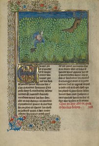 A Hunter and a Dog Tracking in a Thicket by Unknown artist