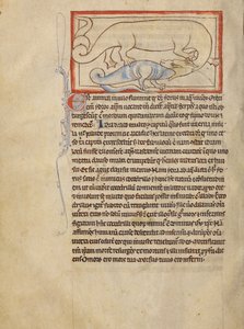 A Hydrus