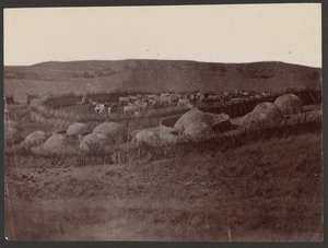 A Kraal, Zulu Land by Unknown artist