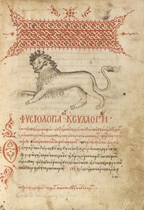 A Lion