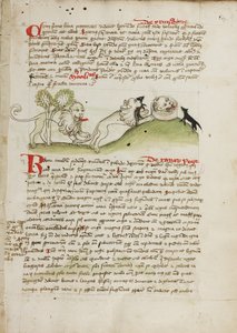 A Lion and Another Lion with a Mouse by Unknown artist