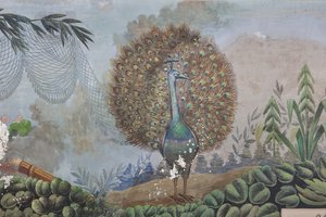 A Peacock (detail) by Unknown artist