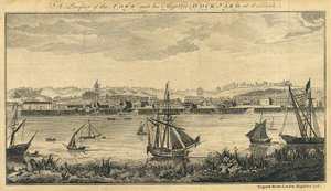 A Prospect of the Town and his Majesty