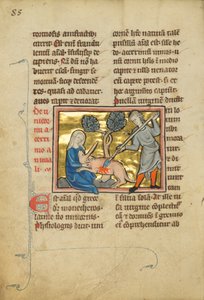 A Unicorn with its Head in the Lap of a Maiden