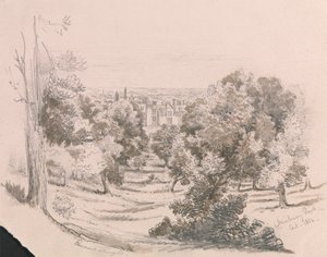 A View of Danbury Park by Unknown artist