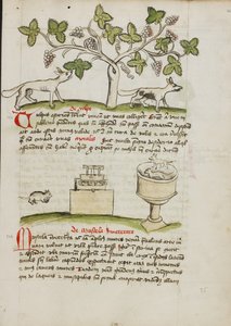 A Weasel and Several Captured Mice by Unknown artist