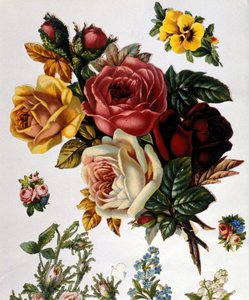 A Bouquet of Roses by Unknown artist