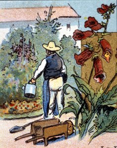 A gardener, chromolithography by Unknown artist