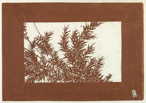 Bamboo