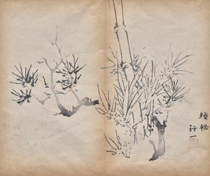 Bamboo