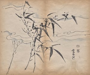 Bamboo by Unknown artist