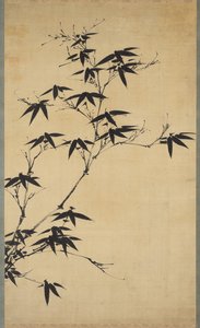 Bamboo