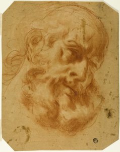 Bearded Head by Unknown artist