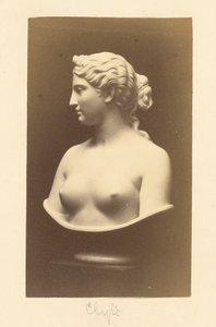 Bust of Clytie