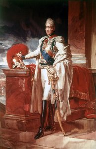 Charles X (1757 - 1836). Naples. National Museum of Capodimonte by Unknown artist