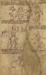 Constellation Diagrams by Unknown artist